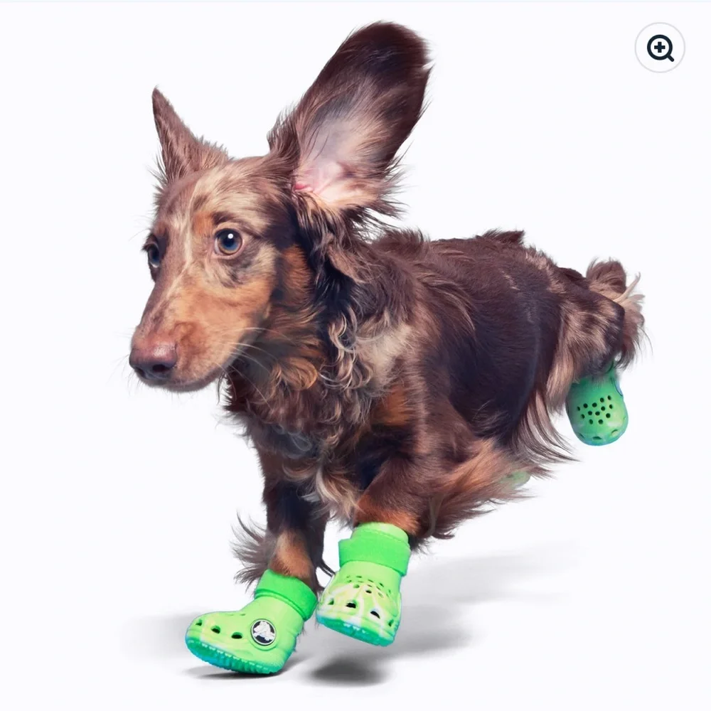 NEW NIB BARK Dog Crocs Limited Ed. Green Slime Swirl w/ Velcro Small S Small - Picture 5 of 16